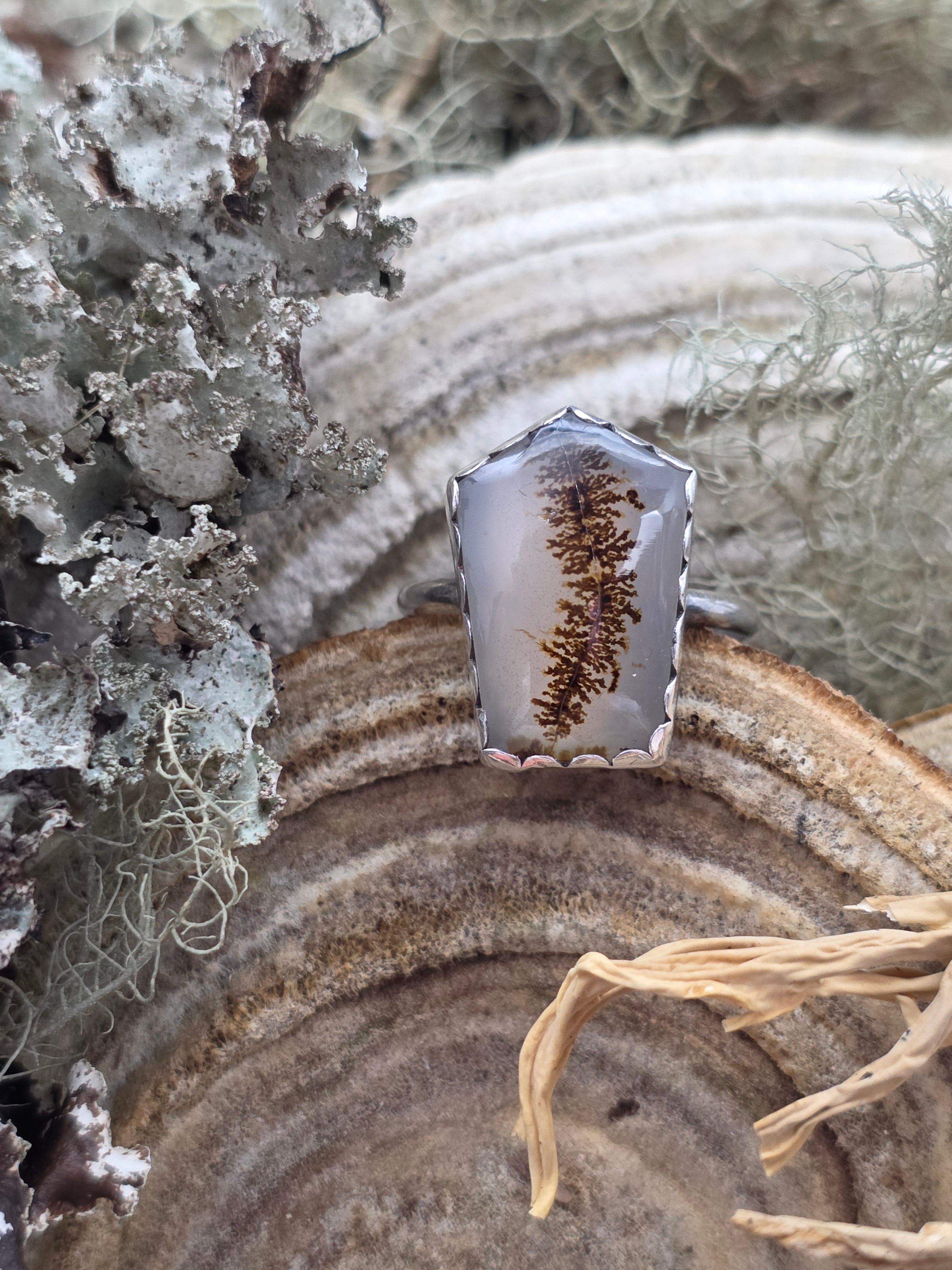 Dendritic agate coffin ring size 9